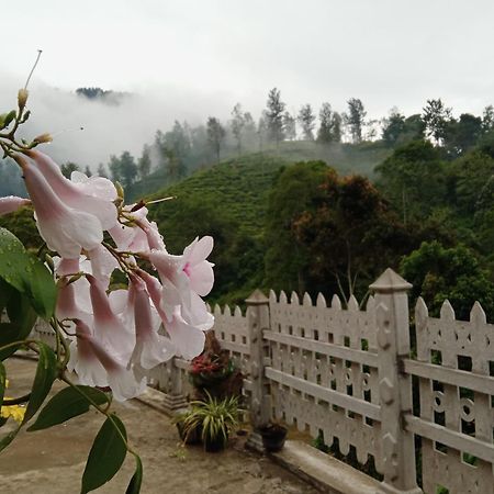 Village Nest Ella Ngoại thất bức ảnh