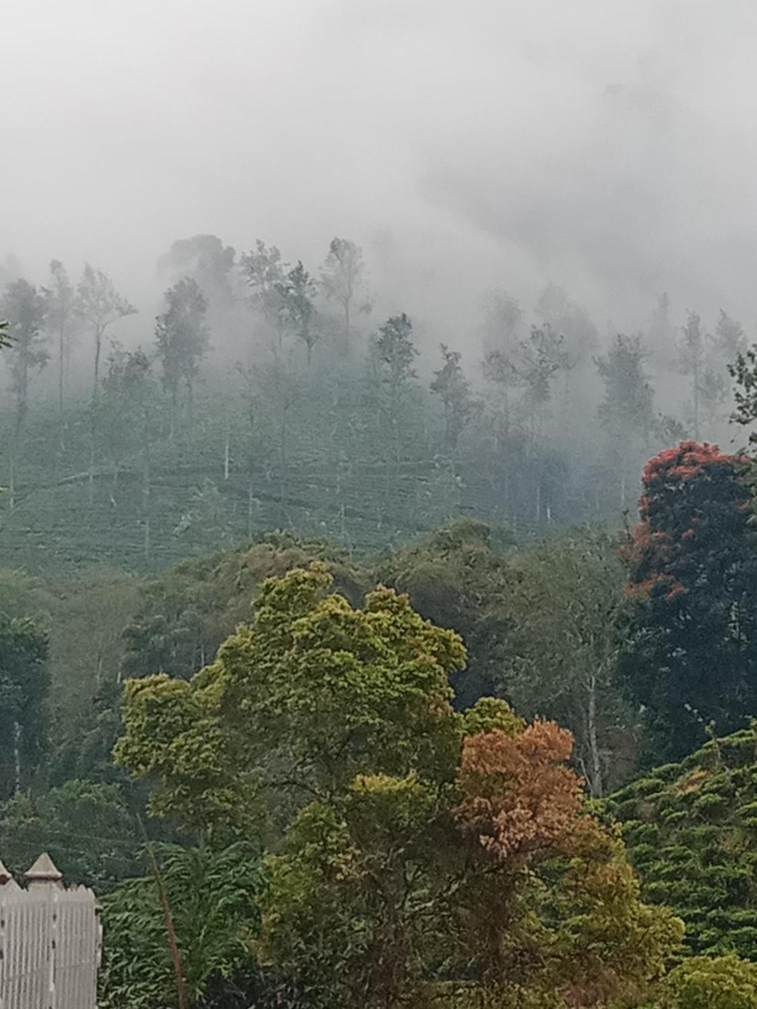 Village Nest Ella Ngoại thất bức ảnh