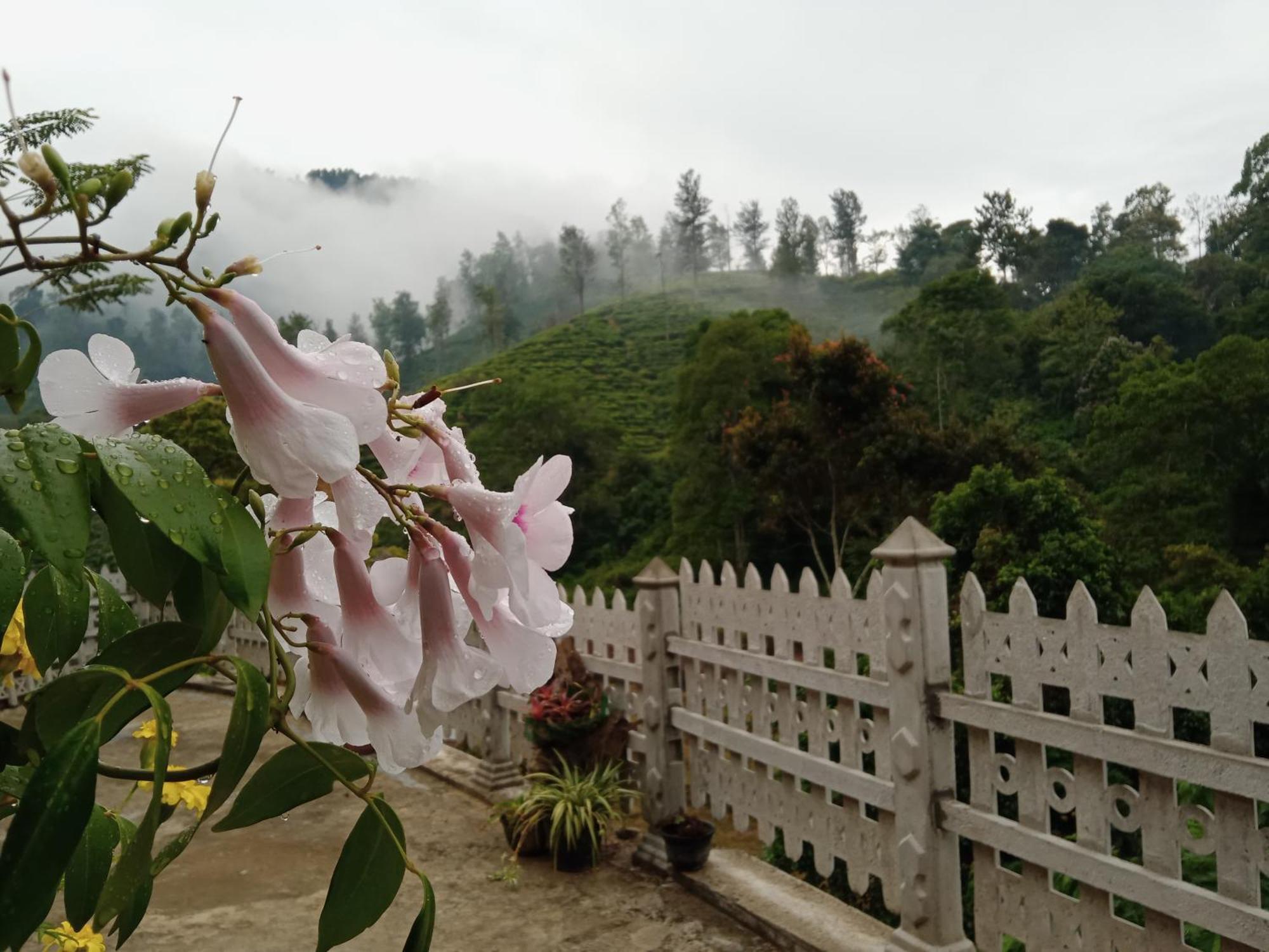 Village Nest Ella Ngoại thất bức ảnh