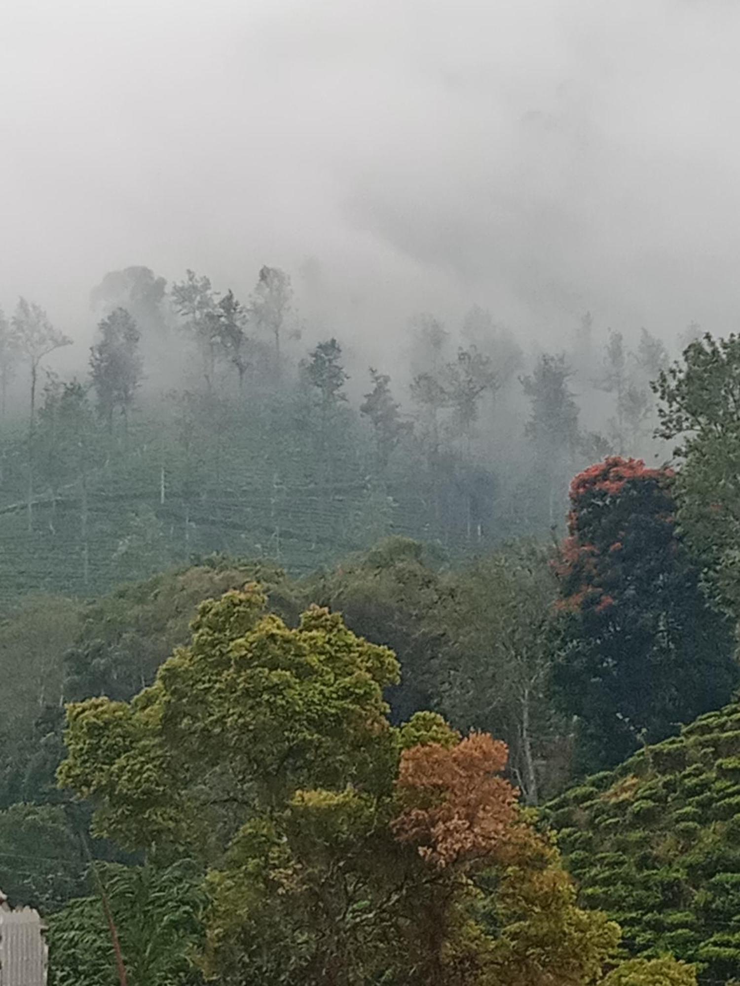 Village Nest Ella Ngoại thất bức ảnh