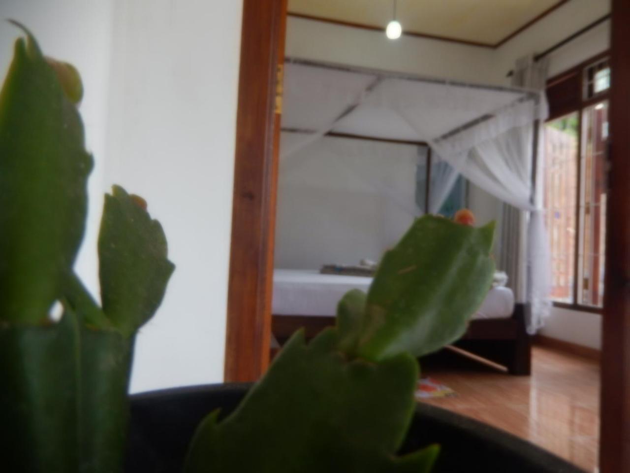 Village Nest Ella Ngoại thất bức ảnh