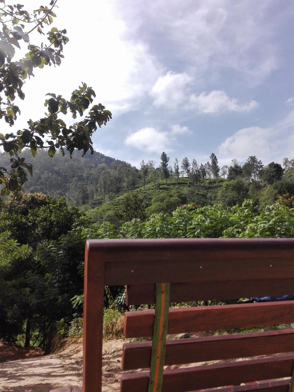 Village Nest Ella Ngoại thất bức ảnh