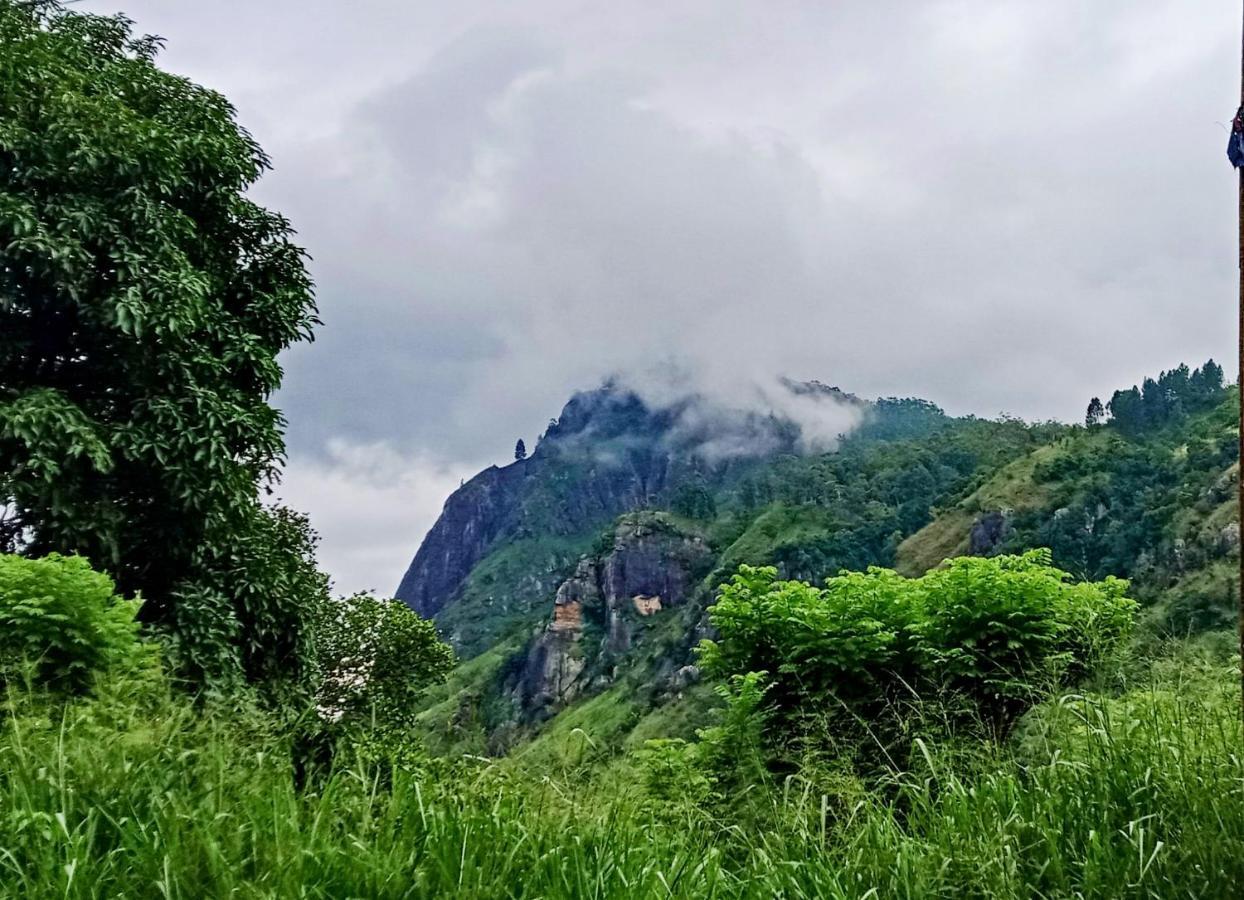 Village Nest Ella Ngoại thất bức ảnh