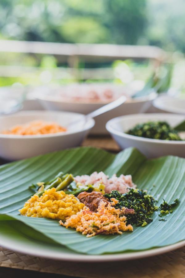 Village Nest Ella Ngoại thất bức ảnh